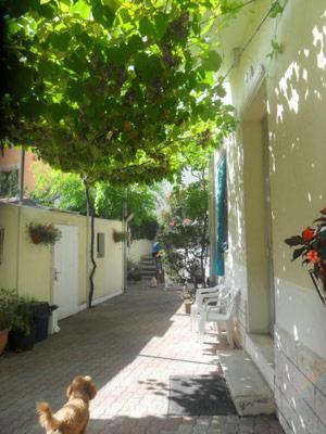 Albergo Villa-Brandi --- Pensione Completa --- Bellaria-Igea Marina Exteriér fotografie